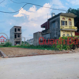 Beautiful land in Quang Minh, Me Linh. Near Tue Tinh Medical and Pharmaceutical College and industrial park. _0