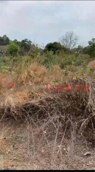 HOT INVESTMENT OPPORTUNITY - OWNER NEEDS TO SELL PRIME LOCATION LAND IN PHUOC AN COMMUNE, NHON TRACH DISTRICT, DONG NAI PROVINCE Vietnam Sales | đ 2.8 Billion