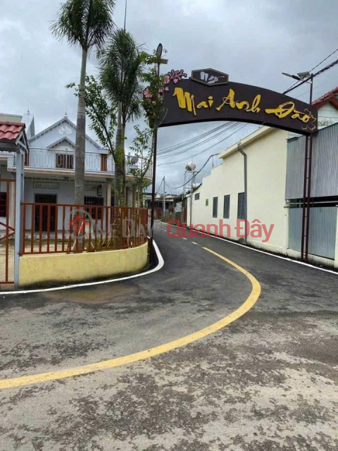 BÁN ĐẤT – BÁN NHÀ KHU DÂN CƯ MAI ANH ĐÀO – PHÚ HỘI – ĐỨC TRỌNG _0