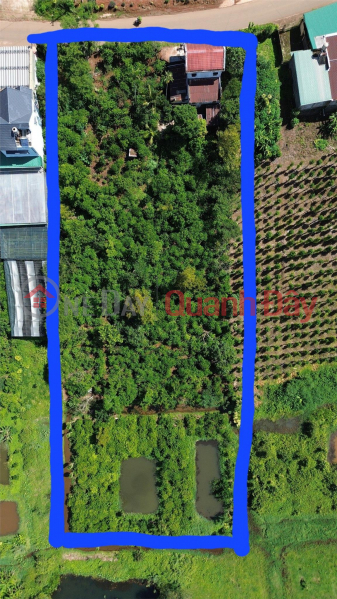 Owner Needs to Sell Land Lot with Beautiful Location in Loc Quang Commune, Bao Lam District, Lam Dong Sales Listings