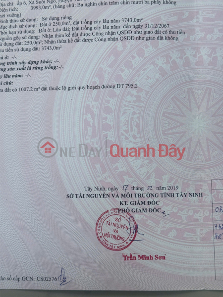 PRIME LAND FOR SALE AT A GOOD PRICE in Tan Hoa, Suoi Ngo Commune, Tan Chau District, Tay Ninh (old address) Sales Listings