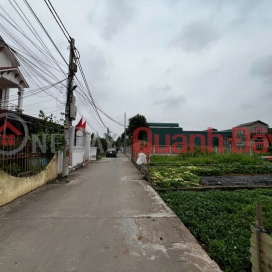Beautiful land for sale in Thu Phu, Thuong Tin, Hanoi - Near DT427 - Convenient location for business and residential purposes. _0
