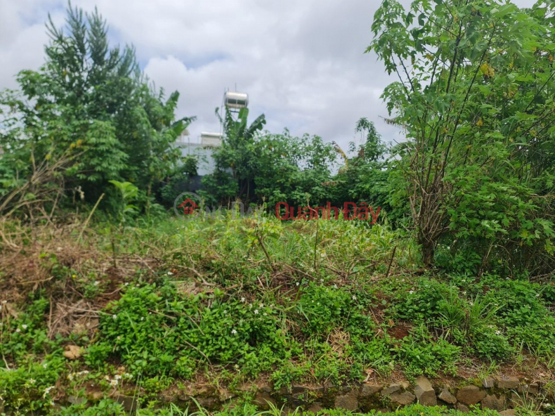 BEAUTIFUL LAND - GOOD PRICE - Land Lot For Sale Prime Location In Di Linh Town, Di Linh District, Lam Dong, Vietnam Sales, đ 1.5 Billion