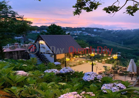 ĐẤT ĐẸP - GIÁ TỐT - Cần Bán Lô Đất Vị Trí Đắc Địa Tại Xã Tân Văn, Huyện Lâm Hà, Lâm Đồng _0