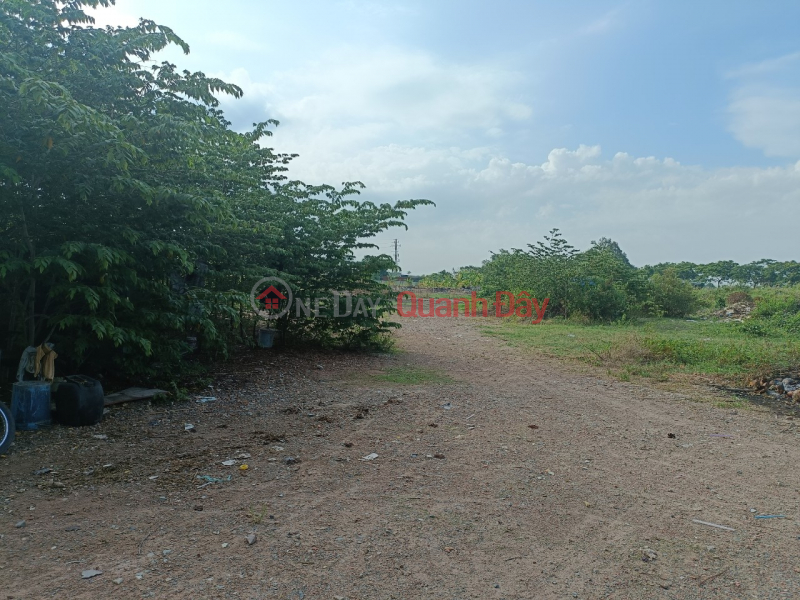 Property Search Vietnam | OneDay | Residential Sales Listings Urgent sale of land along the Saigon River near An Phu Dong villa, district 12, 2,200m2, price 20 billion, reduced to 15 billion, truck road