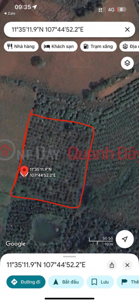 GOOD PRICE - OWNER Needs to Quickly Sell a Garden Plot Full of Coffee in Bao Lam District, Lam Dong Province | Vietnam Sales | đ 1.5 Billion