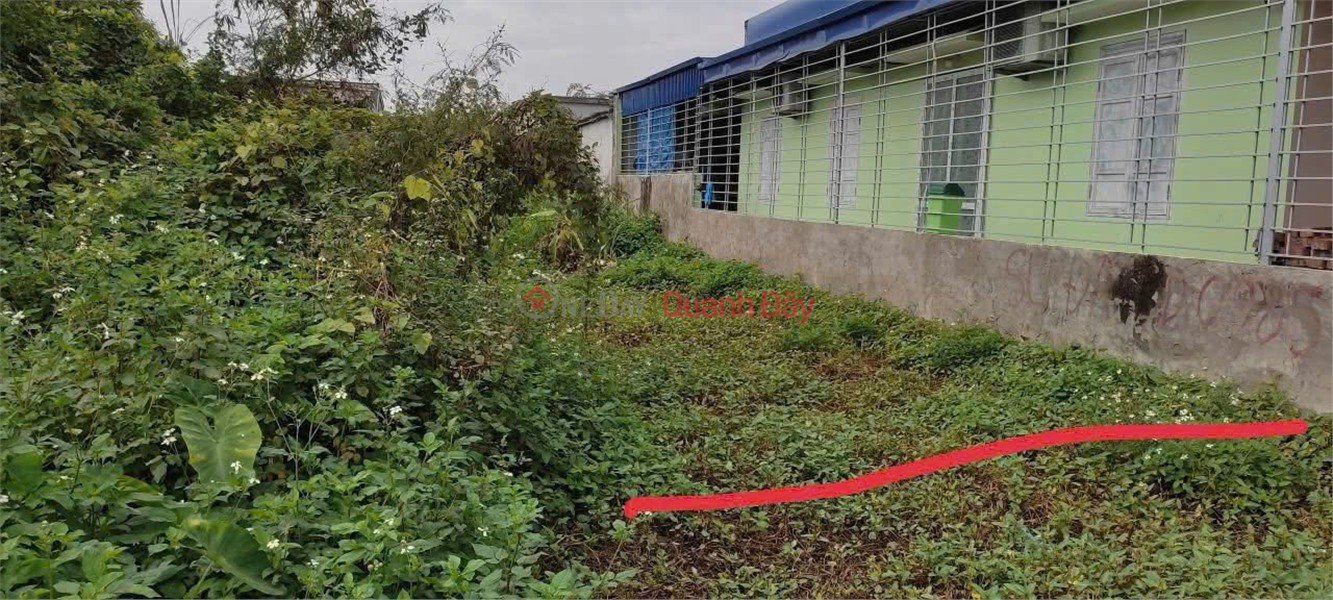 Property Search Vietnam | OneDay | Nhà ở, Niêm yết bán, Lô đất 131m² giá chỉ 12,x tr/m² – trung tâm Quý Kim, Hợp Đức, Đồ Sơn! ZALO 0567 222 555