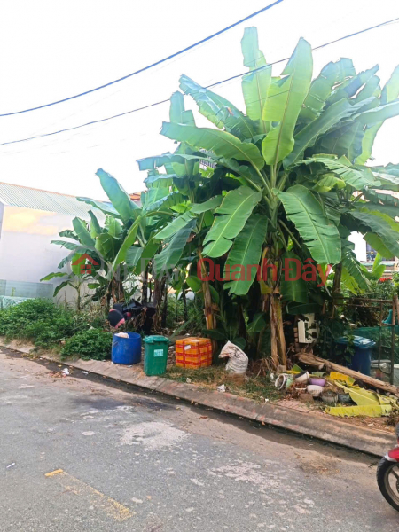 Land for sale in District 9, P lot land, Bung Ong Thoan, area 61m2, 3-storey construction area, only over 4 billion | Vietnam, Sales, đ 4.25 Billion