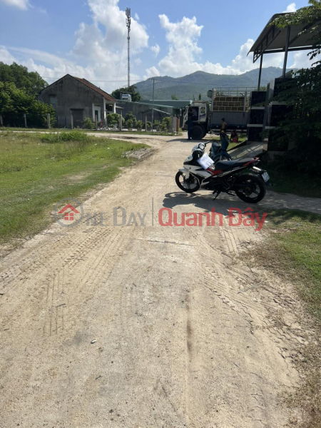 OWN 2 Lots of Land Now in Beautiful Locations in Phuoc Thanh Commune, Tuy Phuoc District, Binh Dinh Province | Vietnam | Sales | ₫ 820 Million
