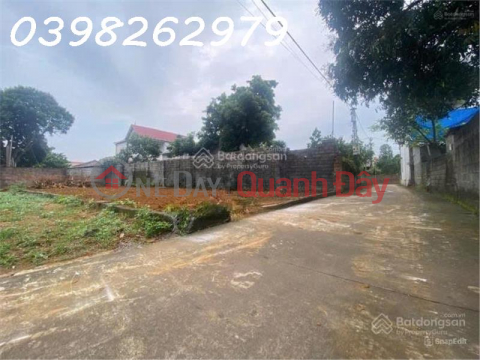 Bán đất chính chủ 229,7m2 có 100m2 thổ cư tại Thôn Yên Thái, Xã Đông Yên, Quốc Oai _0