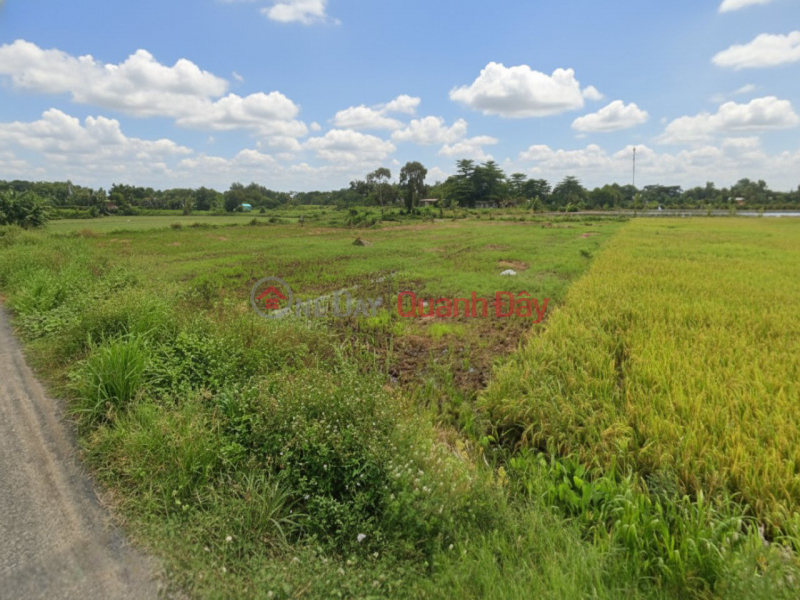 Giảm 100tr! Đất SHR HXH 246m2, Nở hậu – Trần Thị Năm Q12 SS Việt Nam Bán, đ 30 triệu