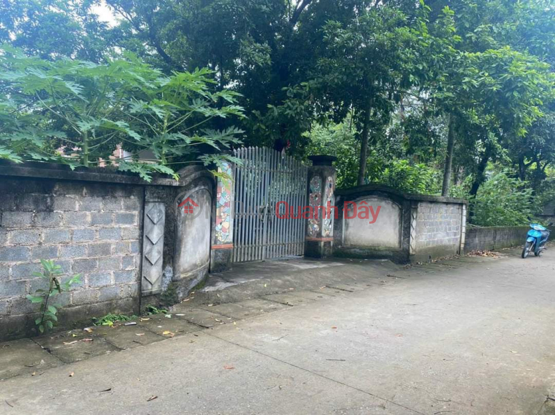 Urgent sale of land lot 534m, clear road for cars, hunting for beautiful level 4 house, 2.2 billion Nam Phuong Tien | Vietnam Sales, đ 2.2 Billion