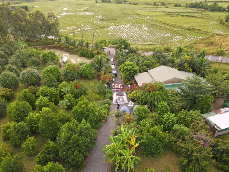 Bán Nhanh Fram Ninh Hưng 1,6ha.Đường Nhựa 5m,Cách TTHC chỉ 1km | Việt Nam | Bán đ 8,9 tỷ