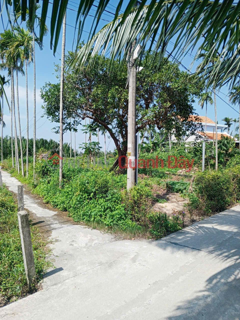 Owner in urgent need of money is selling a plot of land on the main road DX 017, with 1000 m² of residential land, Cam Thanh, for 18 billion VND. _0