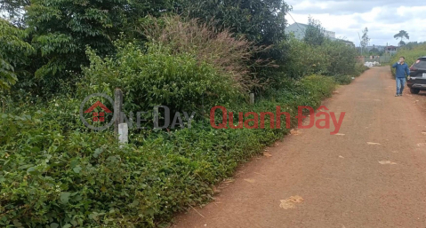 OWNER Urgently Needs To Sell Land Lot - Extremely Cheap Price In Brel Village, Ia Der Commune, Ia Grai District, Gia Lai _0
