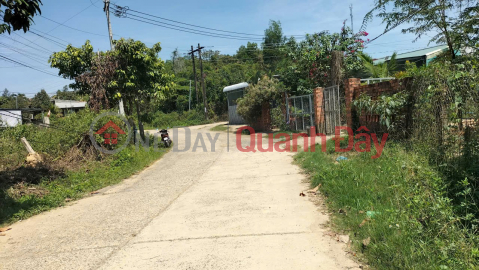 ĐẤT THỔ CƯ GIÁ ĐẦU TƯ – GẦN HỒ MADAGUI – CHÍNH CHỦ CẦN BÁN LÔ ĐẤT Tại Đạ Huoai, Lâm Đồng _0