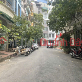 HOUSE FOR SALE IN DAI KIM TRINH DINH CUU - HOANG MAI, 53M2, FRONTAGE 4.2M, PRICE 16.9 BILLION. _0