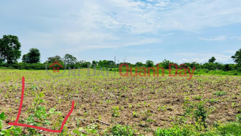 2 lots of Beautiful Land for Sale - Good Price in Krong Pak district, Dak Lak province _0