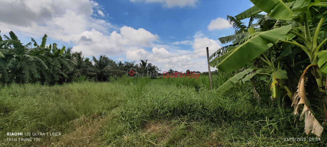 ₫ 600 Million | Urgent sale of the cheapest rice land plot in the area near Highway 50B for 600 million