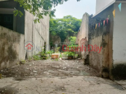 Selling land with red book owner in Dai Lan, Duyen Ha, Thanh Tri. _0