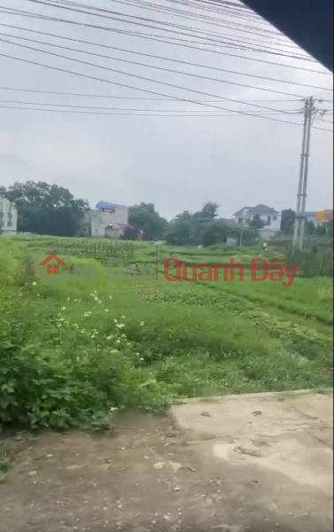 The owner needs to sell a piece of land in Thang town, Hiep Hoa, Bac Giang Sales Listings