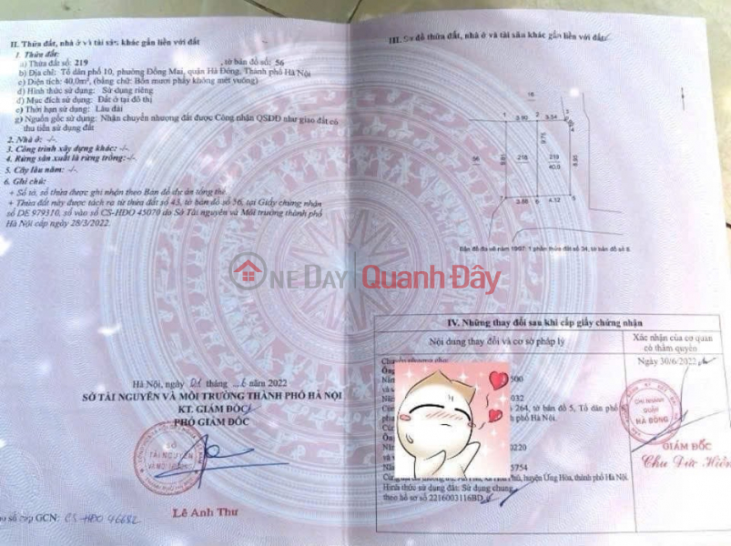 đ 10 triệu | HÀNG FO CẦN BÁN 40M TẠI ĐỒNG MAI-HÀ ĐÔNG-HÀ NỘI