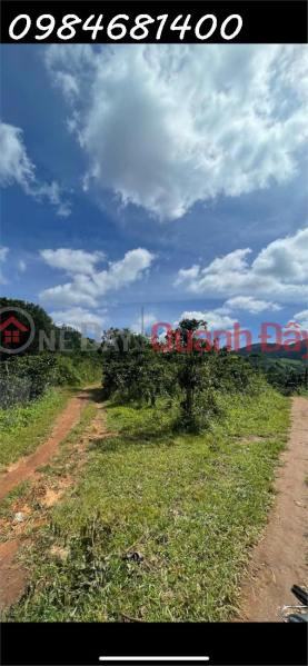 Cần tiền bán nhanh đất rẫy tại Tà Nung, p.Cam Ly, Đà Lạt,giá chỉ 160tr/sào có thương lượng Niêm yết bán