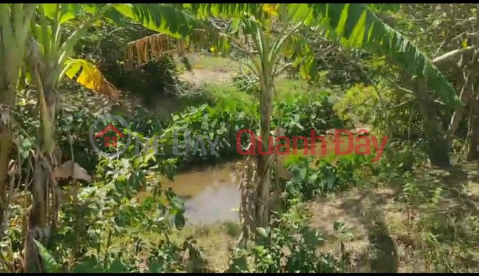 BEAUTIFUL LAND - GOOD PRICE - For Quick Sale Land Lot Prime Location In Phuoc Chinh Commune, Bac Ai, Ninh Thuan _0