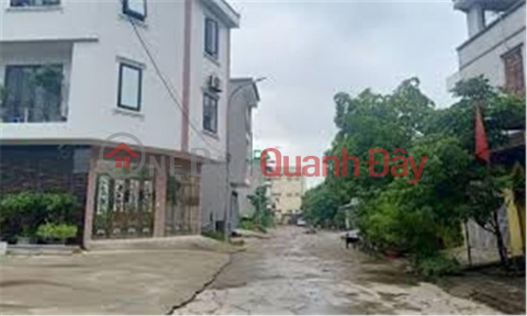 Urgent sale of land lot 69.75m2 super nice auction land Vinh Thanh-Vinh Ngoc-Dong Anh-Hanoi _0