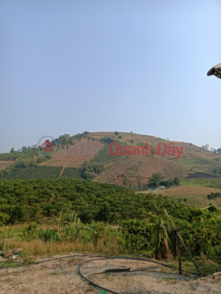 BEAUTIFUL LAND - GOOD PRICE - Owner needs to sell land quickly in Dak Vang, Sa Loong, Ngoc Hoi, Kon Tum, Vietnam | Sales, đ 1.7 Billion