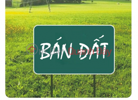 Land for sale, 600m2, located in Group 11, Tay Hoa Lu Ward, Ninh Binh Province. _0