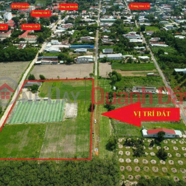 The Owner is selling cheaply 20 Lots of Land, Private Pink Book, Tan Chau Town Center, Tay Ninh _0