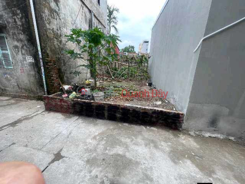 BÁN ĐẤT NỀN THỔ CƯ DOI SÓC – PHÙ CHẨN – TỪ SƠN – BẮC NINH Sales Listings