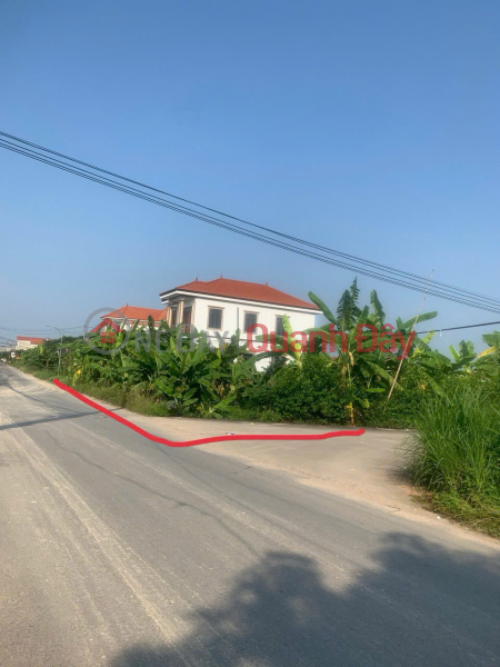 Chính chủ bán đất Thạch Sơn, Lâm Thao - 170m2, 2 mặt tiền, vị trí đẹp, kinh doanh cực thuận lợi Niêm yết bán