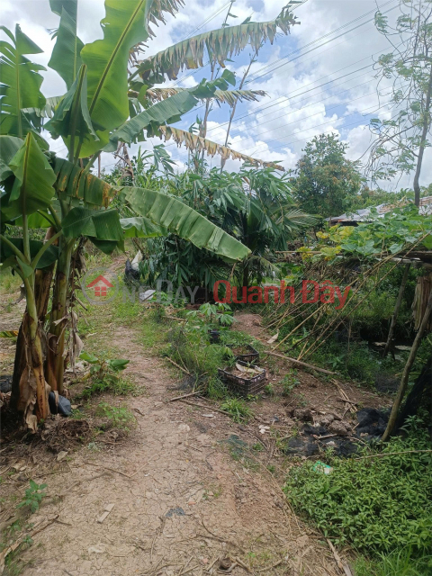 BEAUTIFUL LAND - GOOD PRICE - URGENT SALE Potential Land Lot In Thuong Thanh Ward, Cai Rang District, Can Tho _0