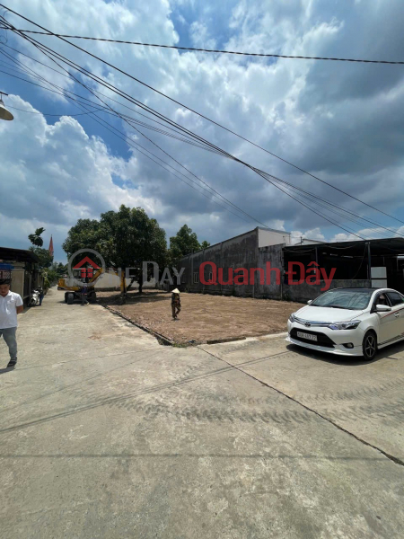 PROFITABLE INVESTMENT - Owner Needs to Sell 2-Front Land Lot in Vinh Thanh, Nhon Trach, Dong Nai, Vietnam | Sales, đ 2.3 Billion