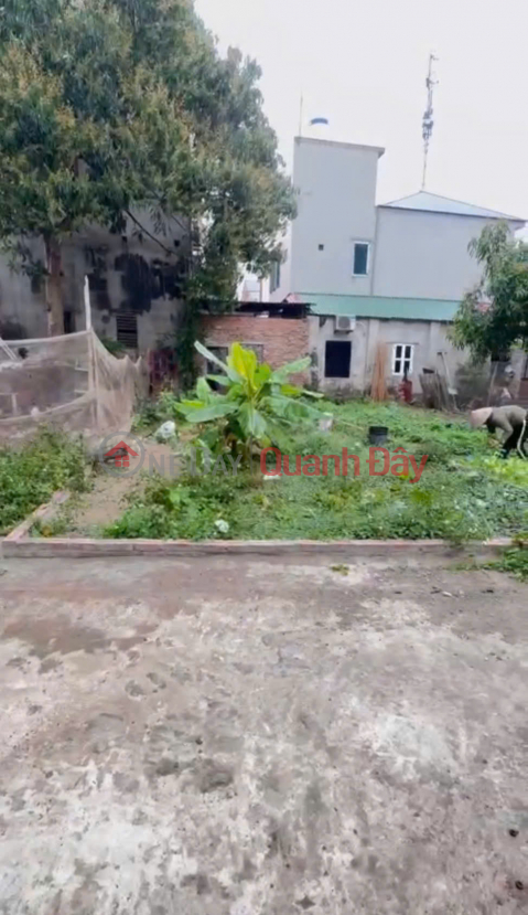 Owner sells land in Bach Da village, Kim Hoa, Me Linh. Located close to Ring Road 4. _0