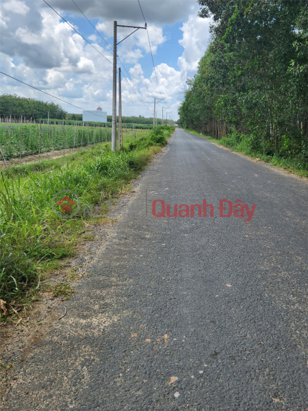 BEAUTIFUL LAND - GOOD PRICE - Land Lot For Sale Prime Location In Tan Bien District, Tay Ninh | Vietnam Sales đ 400 Million