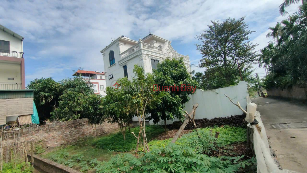 Property Search Vietnam | OneDay | Residential, Sales Listings | Beautiful Land - Good Price - Owner Needs to Sell a Plot of Land in a Beautiful Location in Dang Xa Commune, Gia Lam, Hanoi