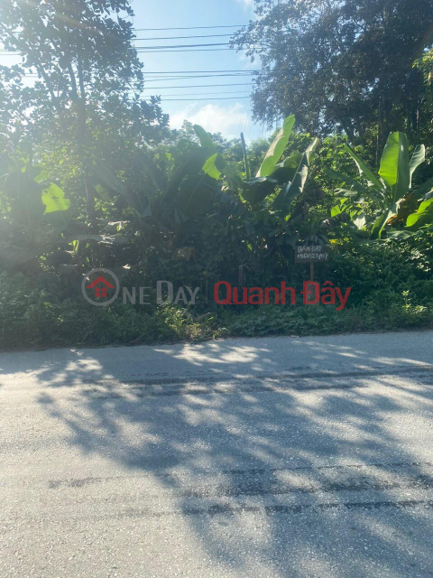 OWNER NEEDS TO SELL Beautiful Land Plot URGENTLY In Tuyen Quang Province _0