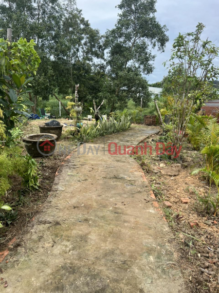 The owner needs to quickly sell a beautiful plot of land in Chuong Vich hamlet, Ganh Dau commune, Phu Quoc city, Kien Giang., Vietnam Sales | đ 200 Million
