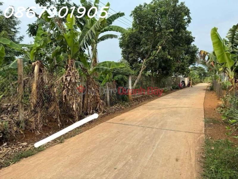 Selling super VIP Krong Ana land lot at a loss Vietnam | Sales đ 240 Million