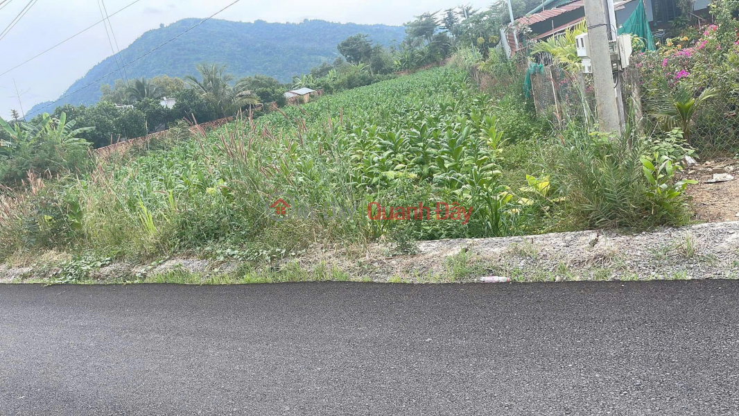 đ 2.6 Billion OWNER Needs to Sell Land Frontage on Phuong Vy Asphalt Road in Suoi Cao Commune, Xuan Loc, Dong Nai