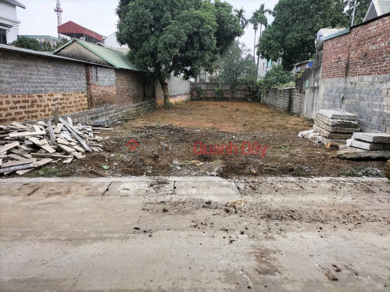 Owner sells land plot near fish market, central fish market area, Nam Phuong Tien Commune, Chuong My, Hanoi Total Sales Listings