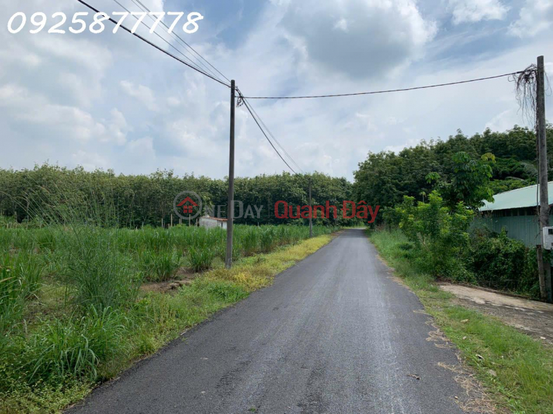  | Làm ơn chọn Nhà ở, Niêm yết bán, đ 2,98 tỷ