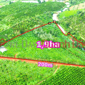 Owner sells 1500m2 durian plot for only 220 million in Gia Nghia city, Dak Nong _0