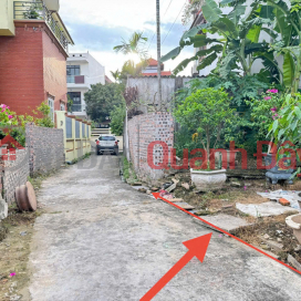 Land for sale in Do Ha, Tien Phong, Me Linh. 150m from National Highway 23b. Near Yen Market. _0