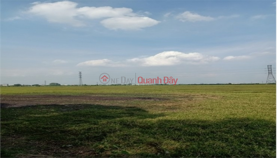 Chính chủ bán 6.3 Ha, 63.000m2 Đất thổ cư gồm 15 sổ đỏ lâu dài Quốc Oai. Việt Nam, Bán, đ 430 tỷ