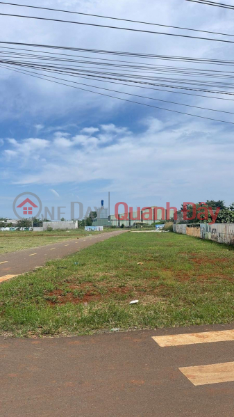 PRIME LAND - GOOD PRICE - Quick Sale In Tay Hoa Commune, Trang Bom - Dong Nai | Vietnam | Sales, ₫ 1.55 Billion