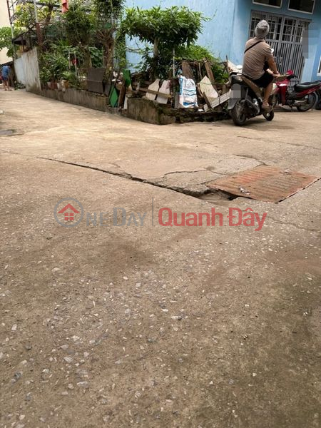 Land for sale in Thuy Linh, 32m, car to drive around and enter the house for only 2.x billion | Vietnam Sales, đ 2 Billion